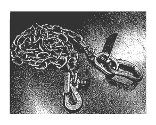 page 11 agricultural chains