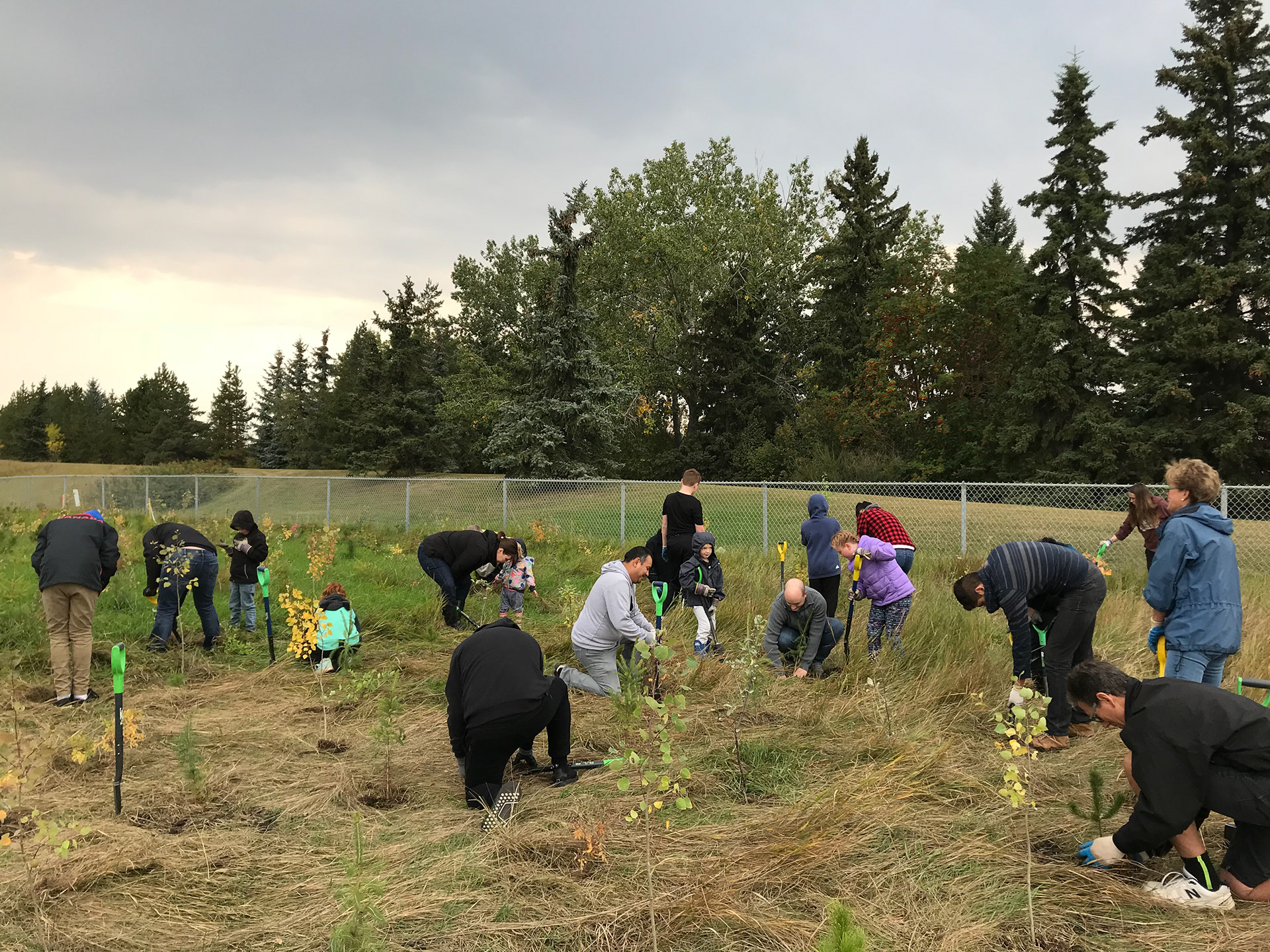 People planting trees